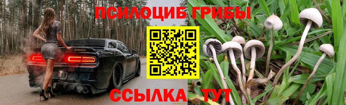 Псилоцибиновые грибы мухоморы  закладки  Котлас  Вход с VPN 